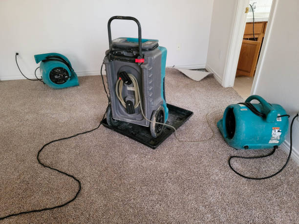 Professional Water damage restoration in Maysville, OK