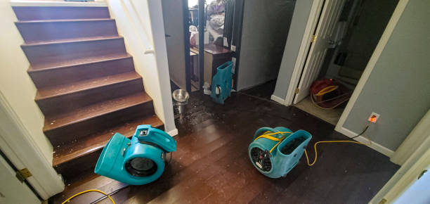 Water damage restoration experts in Maysville, OK