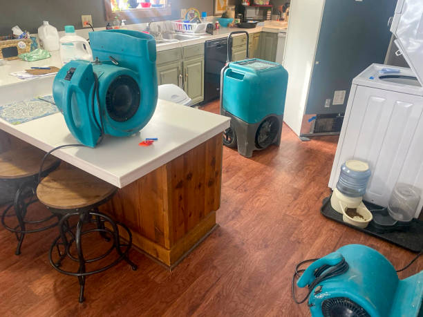 Best Mold removal after water damage  in Maysville, OK
