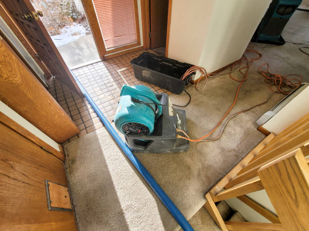  Maysville, OK Water damage restoration Pros