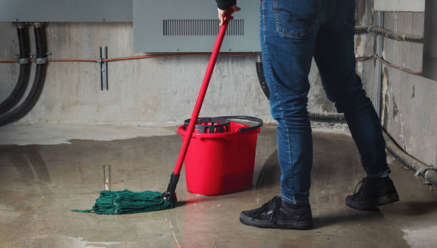 Best Sewage cleanup and water damage restoration  in Maysville, OK
