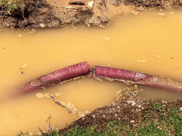 Best Flood restoration services  in Maysville, OK