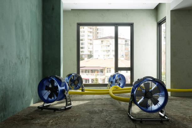 Best Water damage restoration experts  in Maysville, OK